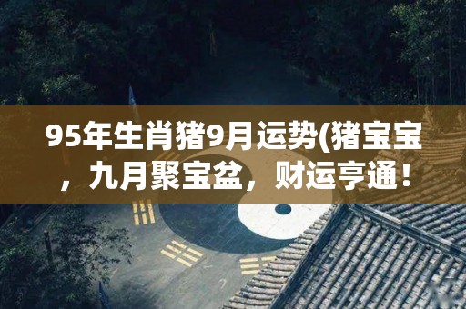 95年生肖猪9月运势(猪宝宝，九月聚宝盆，财运亨通！)