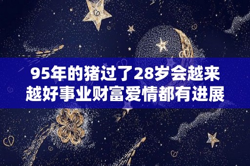 95年的猪过了28岁会越来越好事业财富爱情都有进展的简单介绍