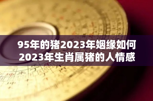 95年的猪2023年姻缘如何2023年生肖属猪的人情感婚姻运的简单介绍