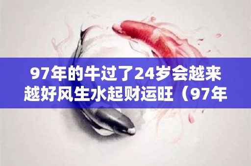 97年的牛过了24岁会越来越好风生水起财运旺（97年的牛2021年怎么样）