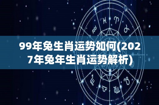 99年兔生肖运势如何(2027年兔年生肖运势解析)