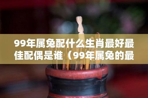 99年属兔配什么生肖最好最佳配偶是谁（99年属兔的最佳配偶属相是什么）